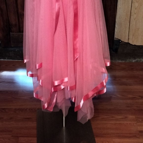 Pink Chiffon - Picture 3 of 5